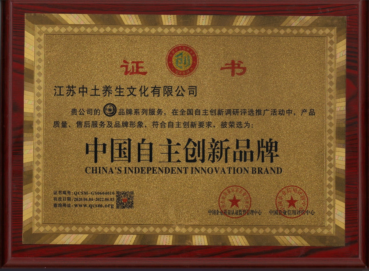 中国自主创新品牌