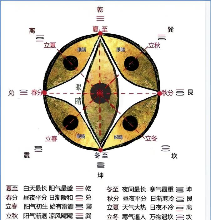 促进身体健康，预防疾病